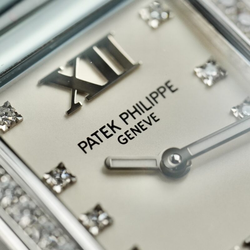 Patek Philippe Twenty~4 4910/10A-011