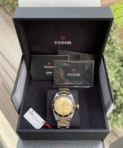 Tudor Heritage Black Bay Yellow Gold and Stainless Steel 41mm Men's Watch 79733N