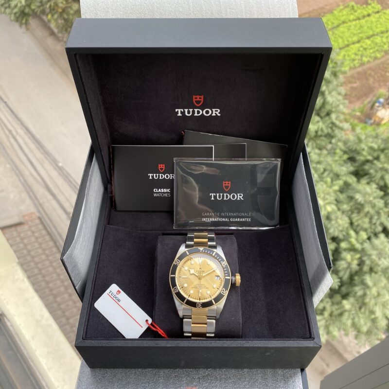 Tudor Heritage Black Bay Yellow Gold and Stainless Steel 41mm Men's Watch 79733N