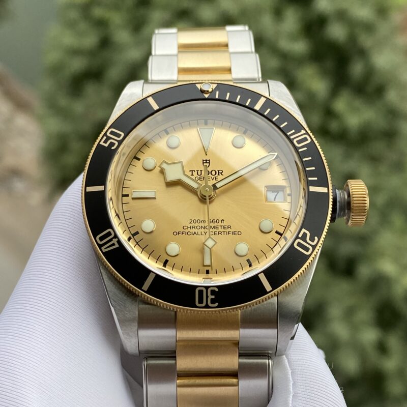 Tudor Heritage Black Bay Yellow Gold and Stainless Steel 41mm Men's Watch 79733N