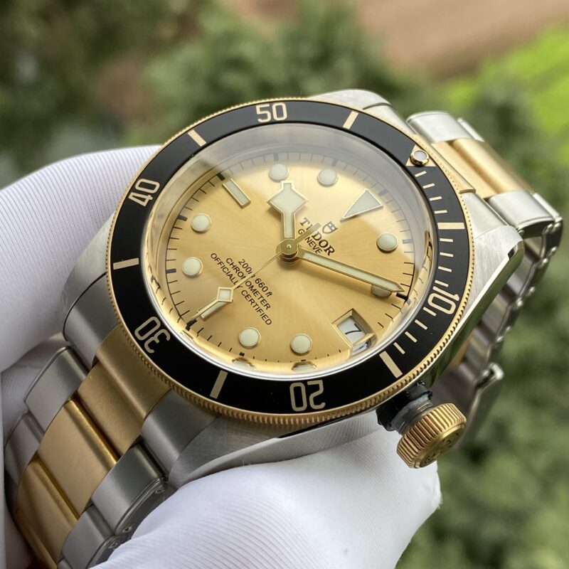 Tudor Heritage Black Bay Yellow Gold and Stainless Steel 41mm Men's Watch 79733N