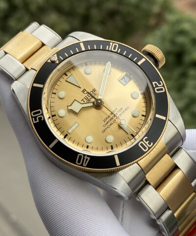 Tudor Heritage Black Bay Yellow Gold and Stainless Steel 41mm Men's Watch 79733N