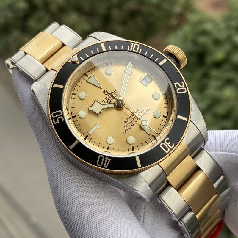 Tudor Heritage Black Bay Yellow Gold and Stainless Steel 41mm Men's Watch 79733N