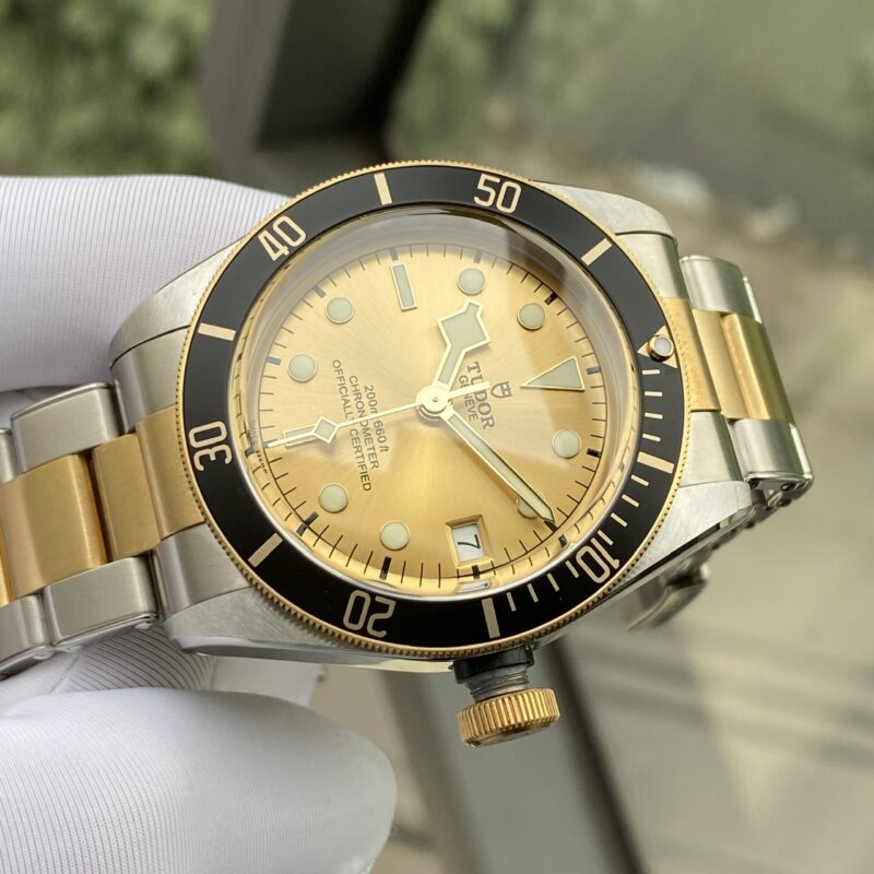 Tudor Heritage Black Bay Yellow Gold and Stainless Steel 41mm Men's Watch 79733N