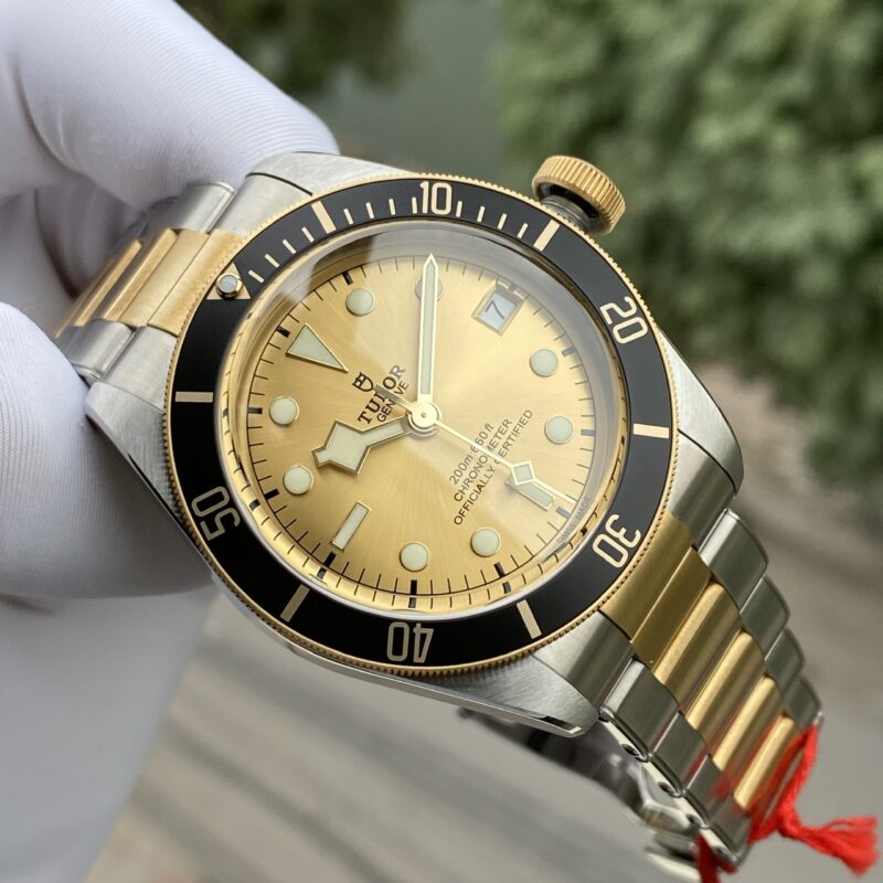 Tudor Heritage Black Bay Yellow Gold and Stainless Steel 41mm Men's Watch 79733N