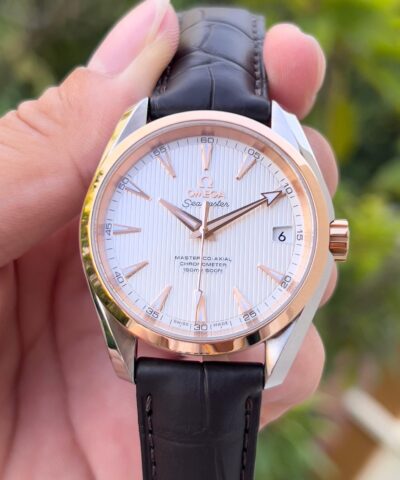 Đồng Hồ OMEGA Aqua Terra Master 18K Benzel 231.23.39.21.02.001 Cũ