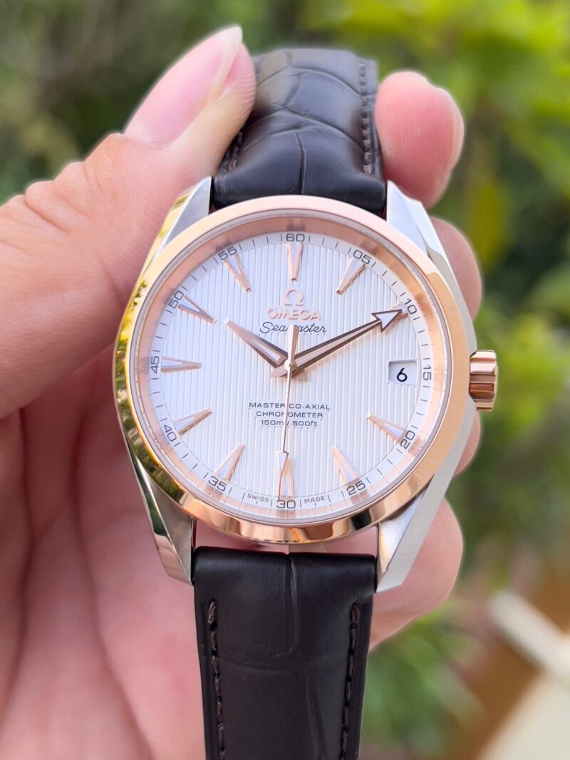 Đồng Hồ OMEGA Aqua Terra Master 18K Benzel 231.23.39.21.02.001 Cũ