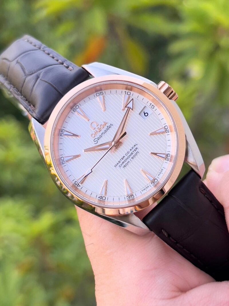 Đồng Hồ OMEGA Aqua Terra Master 18K Benzel 231.23.39.21.02.001 Cũ