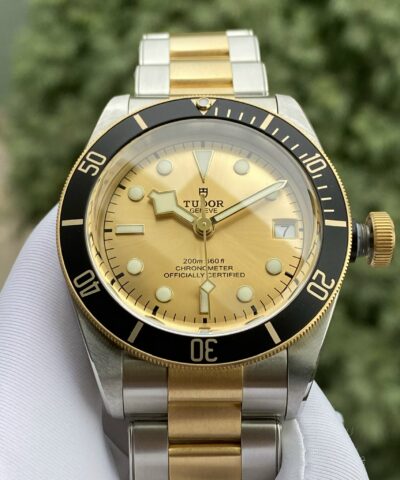 Đồng Hồ Tudor Heritage Black Bay Yellow Gold and Stainless Steel 79733N Cũ