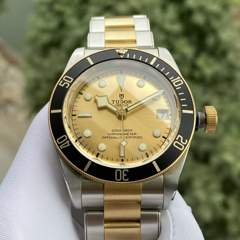 Đồng Hồ Tudor Heritage Black Bay Yellow Gold and Stainless Steel 79733N Cũ