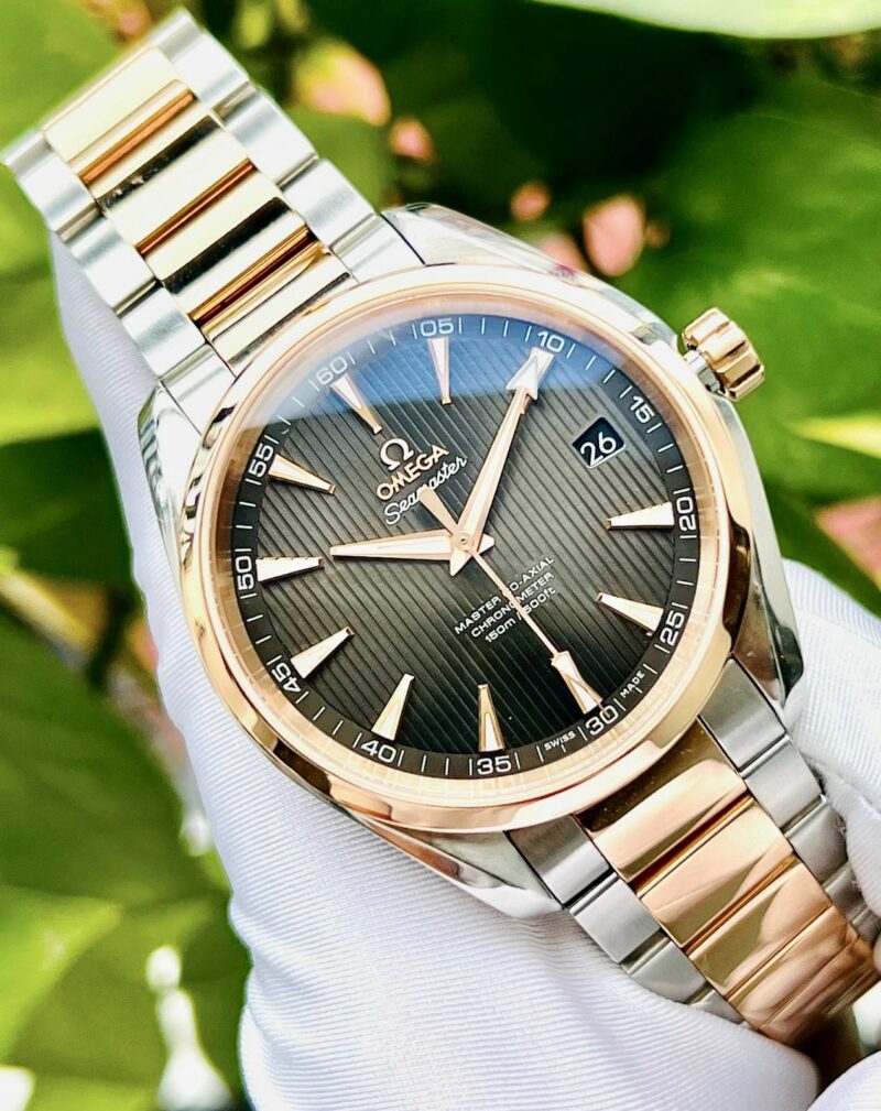 Đồng Hồ Omega  Aqua Terra Master Co-Axial 231.20.42.21.06.003 Cũ